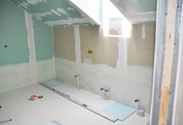 Best Water Damage & Mold Remediation  in Needville, TX
