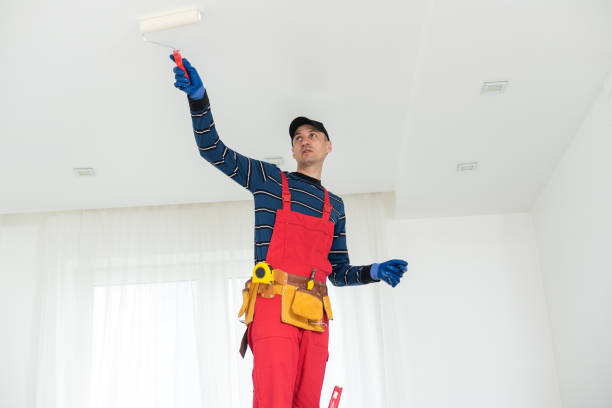 Best Biohazard Mold Removal  in Needville, TX