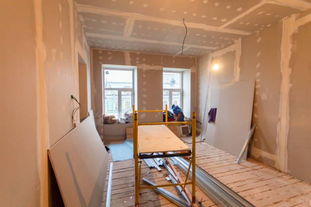 Best Comprehensive Air Testing for Mold Contaminants  in Needville, TX