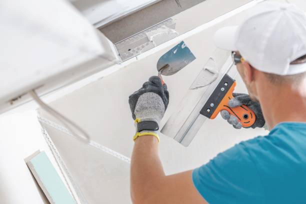 Best Dehumidification Services  in Needville, TX